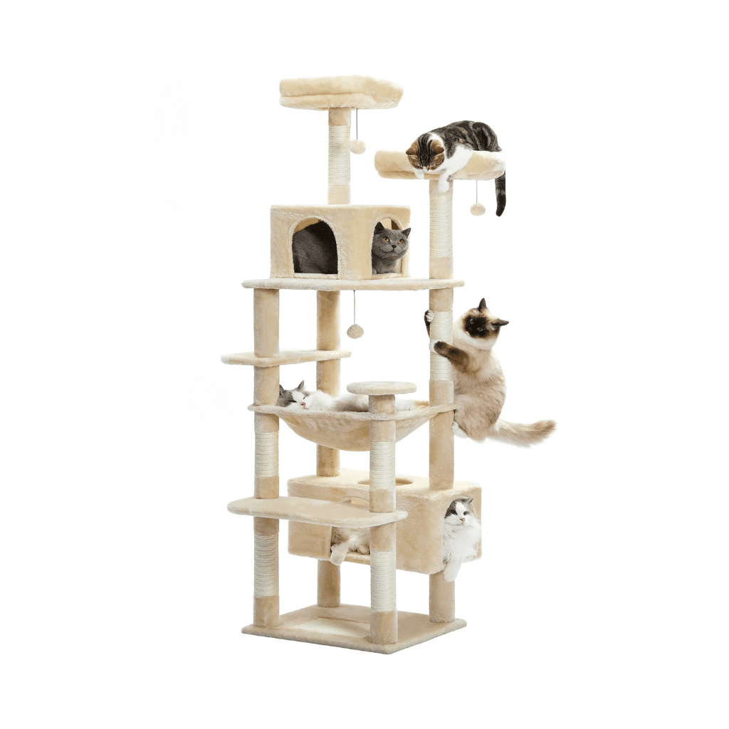 Arbre à chat XXL 3 niveaux