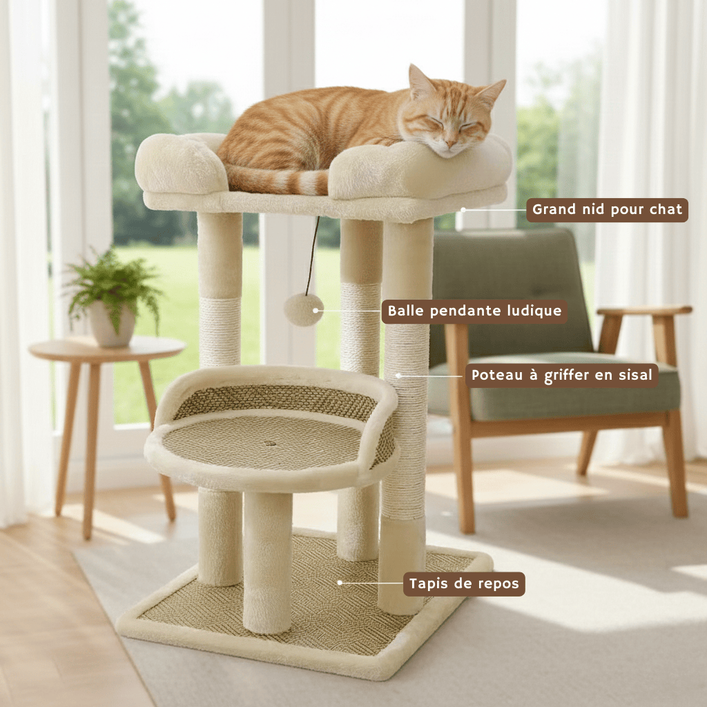 Arbre à chat  - l'aura