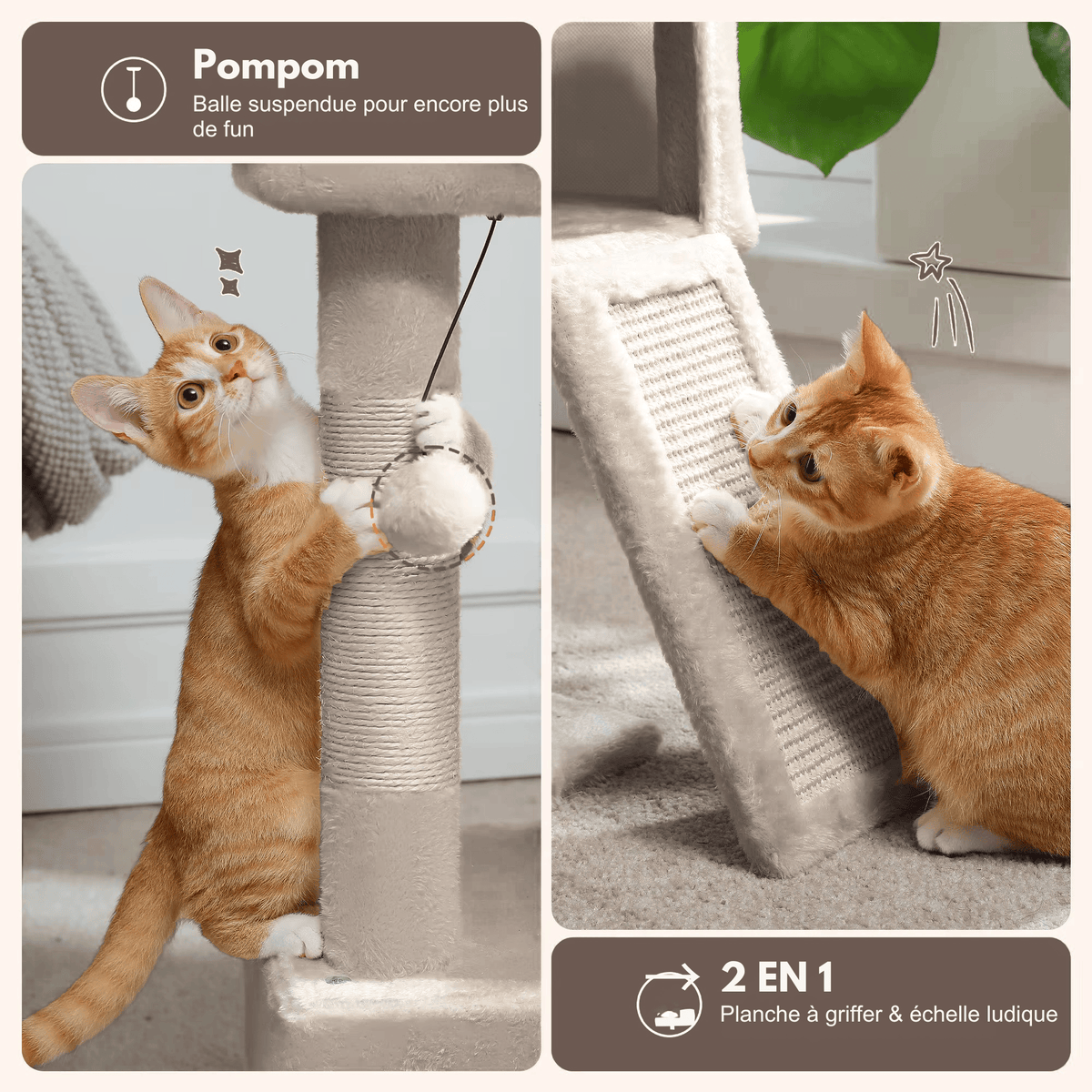 Arbre à chat  - le cosi