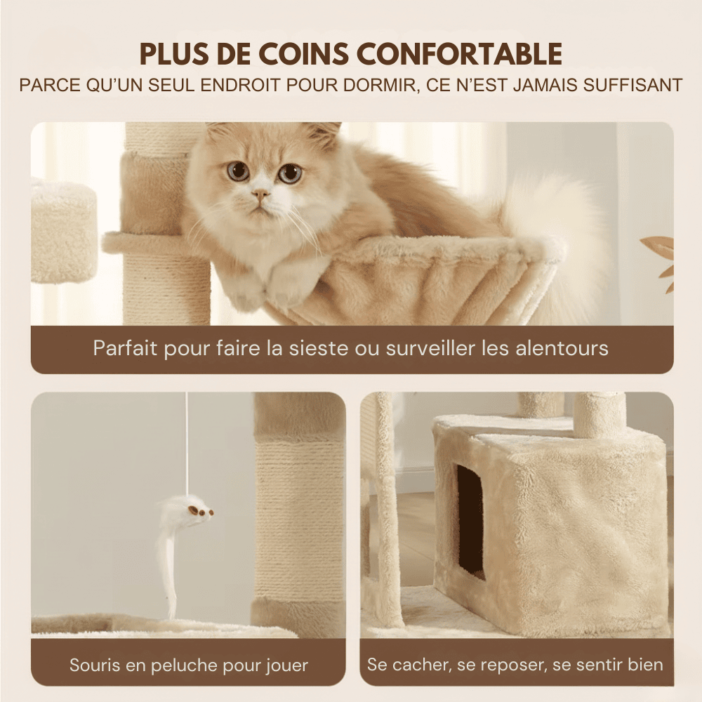 Arbre à chat avec griffoir