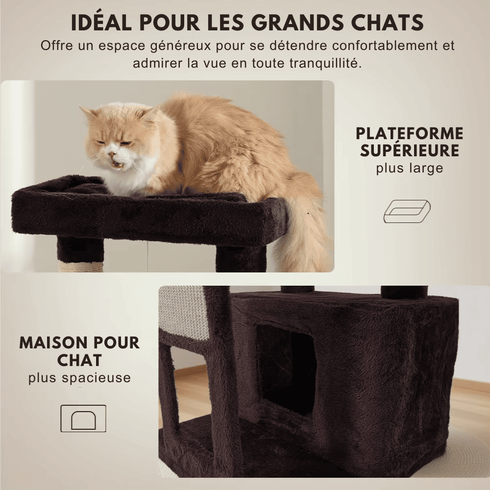 Arbre à chat avec griffoir