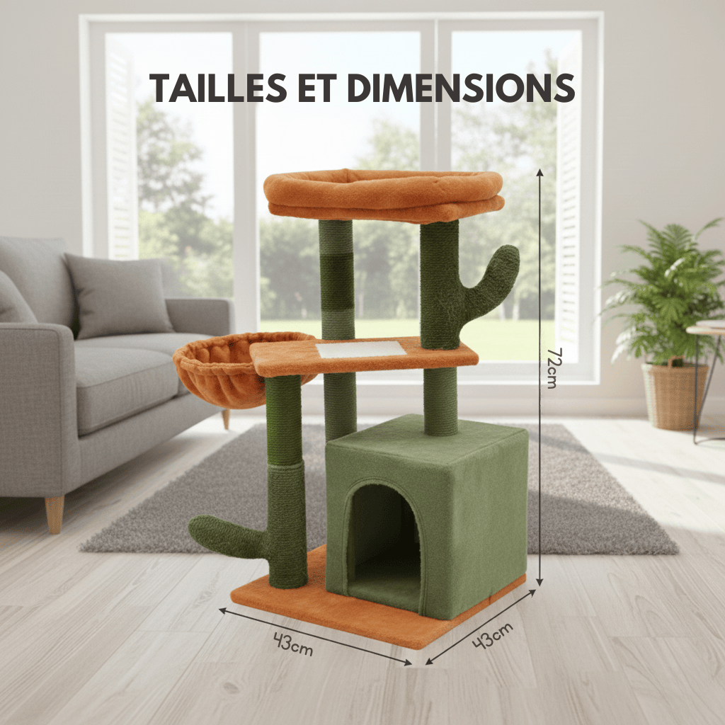 Arbre à chat - mini cactus