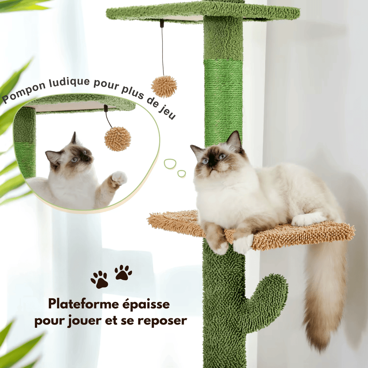 Arbre à chat XXL style cactus