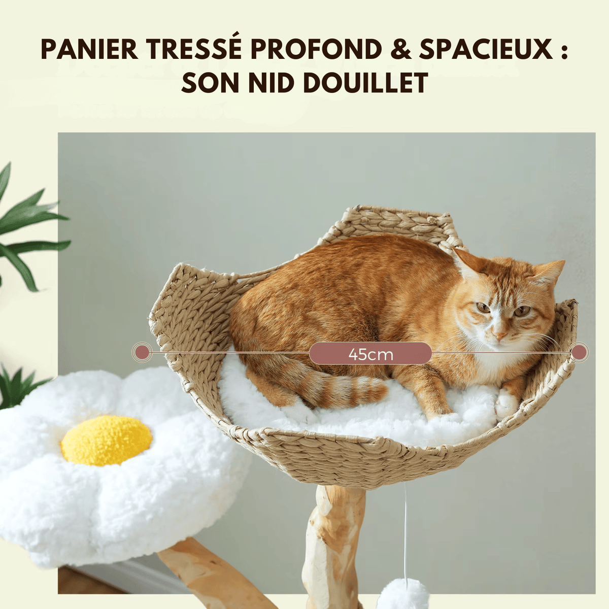 Arbre à chat en bois - nuageux