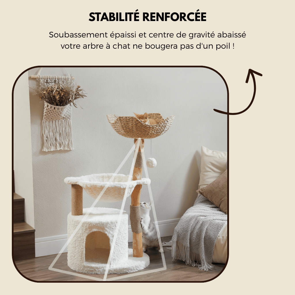 Arbre à chat en bois - nid d'oiseau