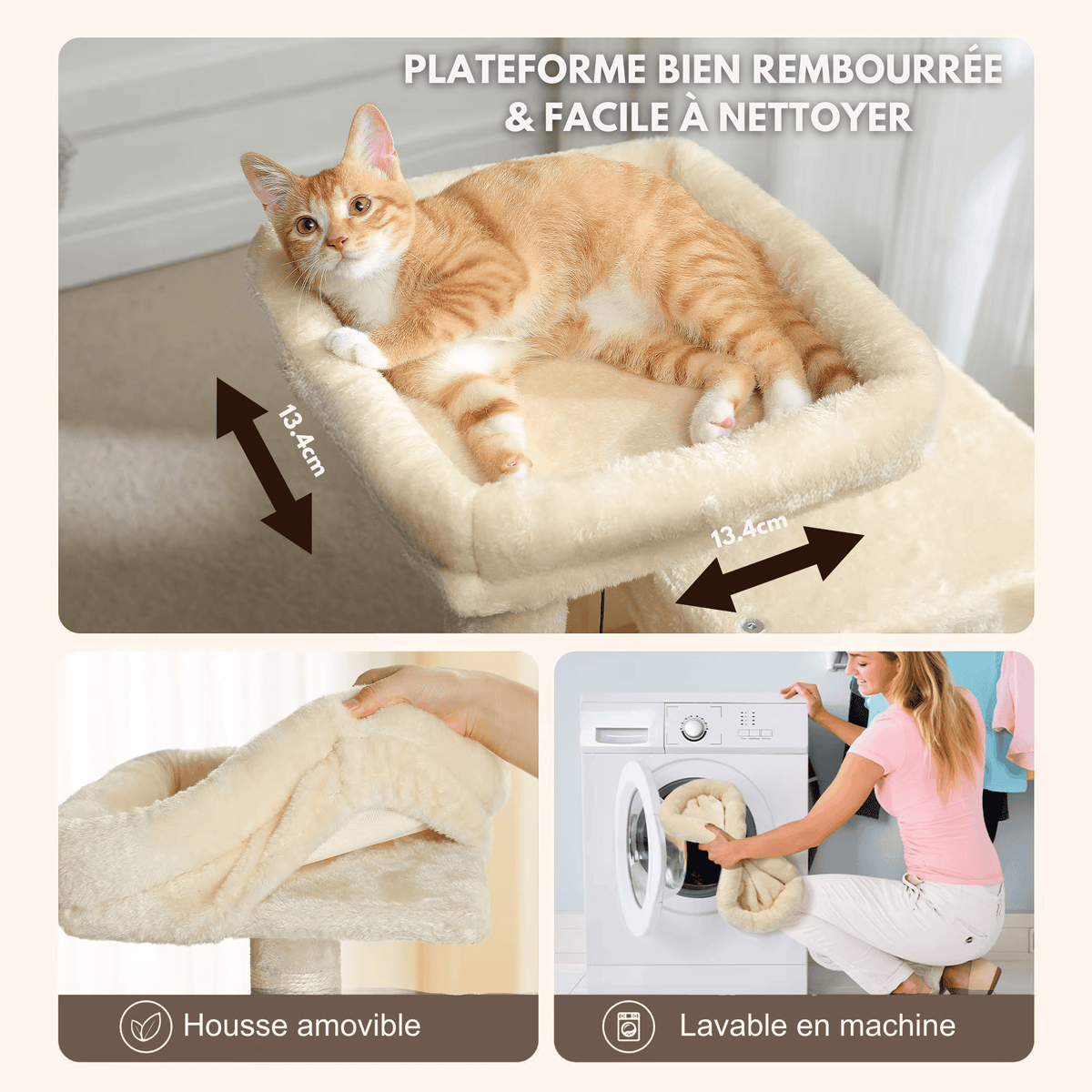 Arbre à chat  - le cosi