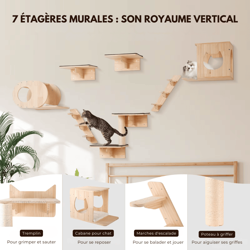 Arbre à chat en parcours