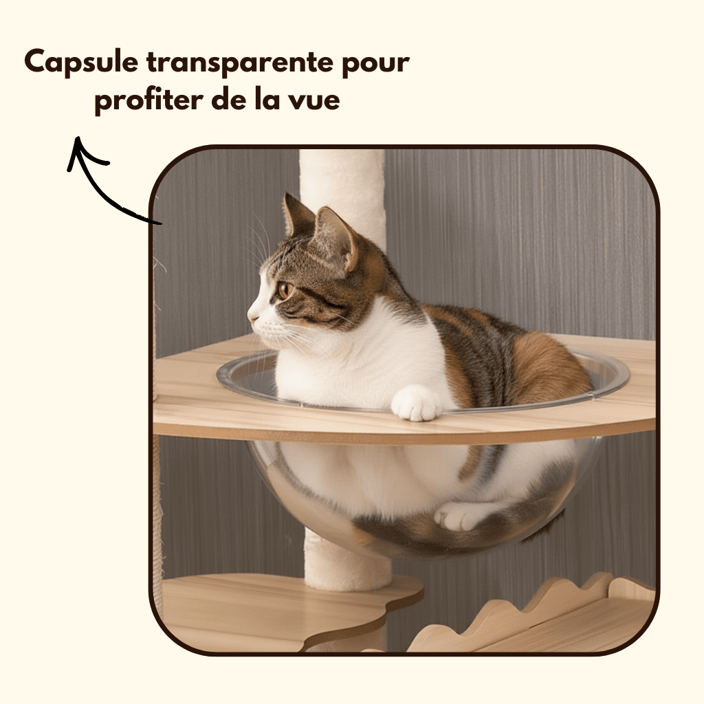 Arbre à chat en bois et jeux intégrés