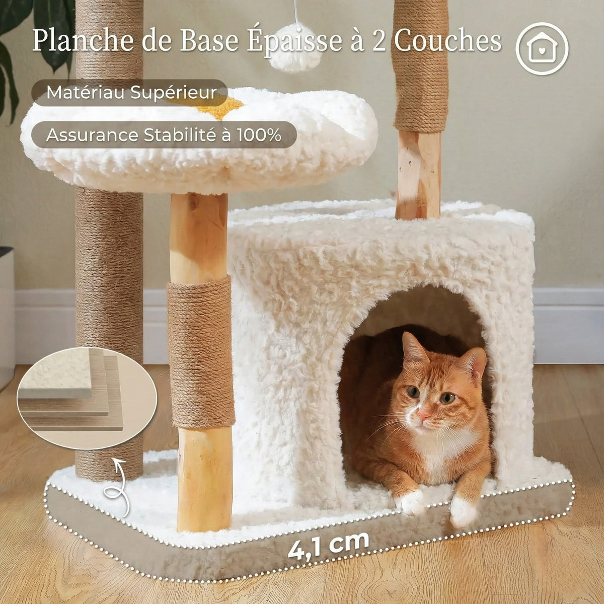 Arbre à chat - fleur & nid d'oiseau