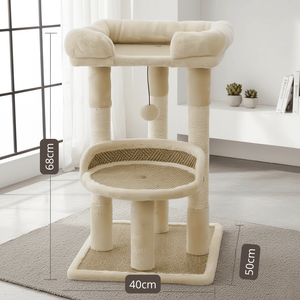 Arbre à chat  - l'aura