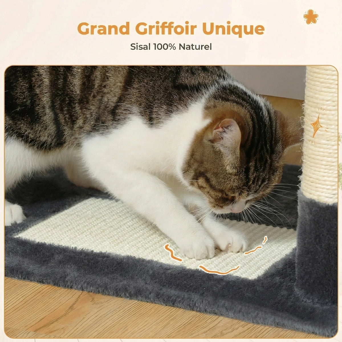 Arbre à chat - bicolore