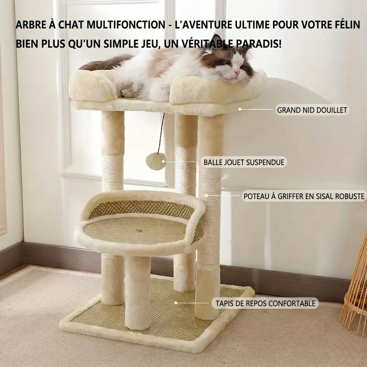 Arbre à chat - style fraicheur