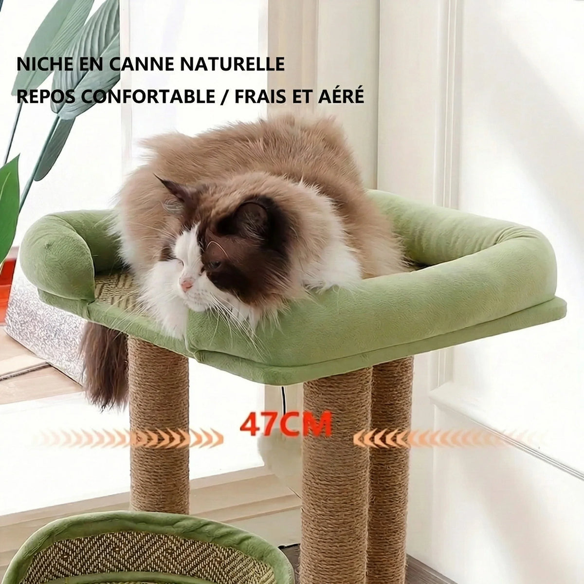 Arbre à chat - style fraicheur