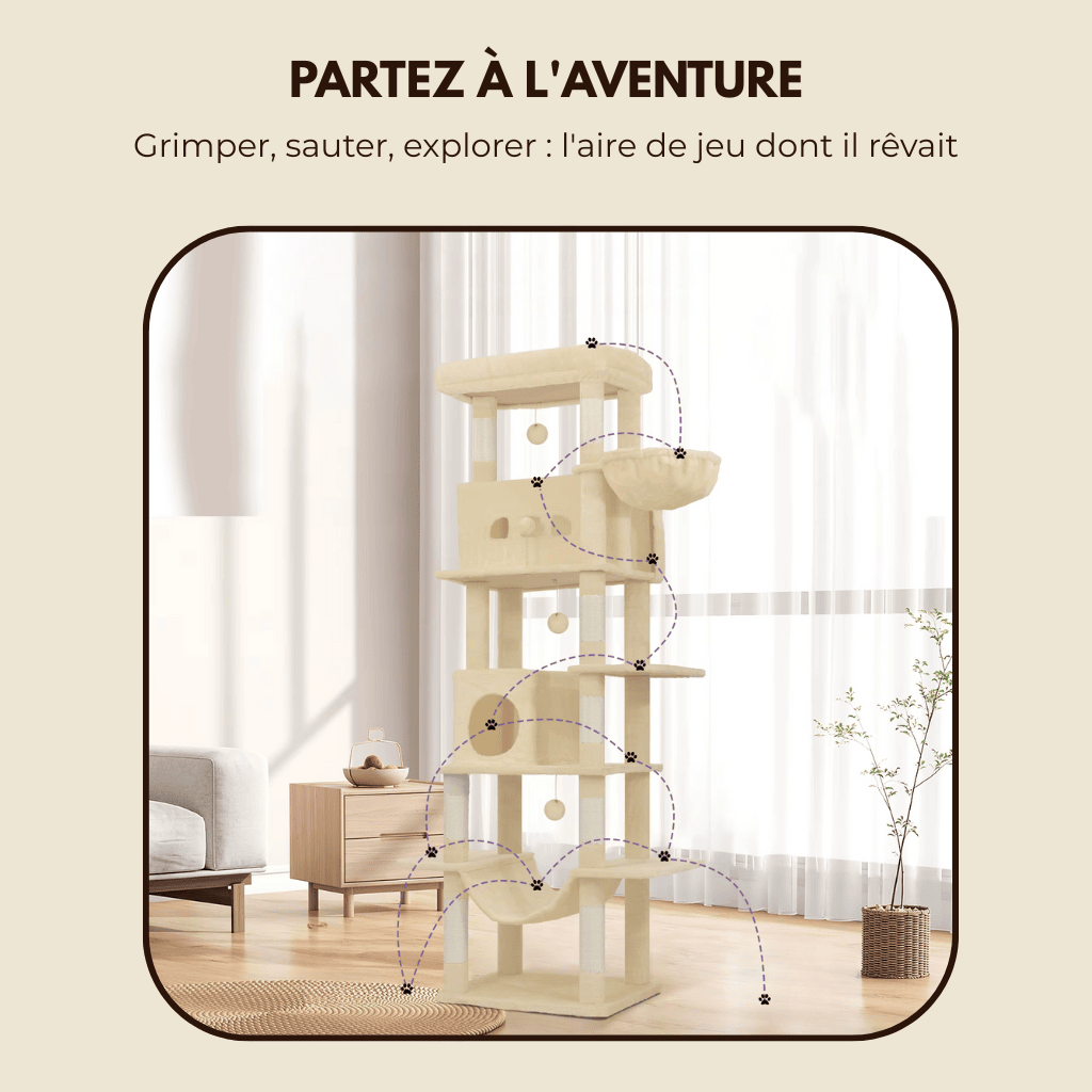 Arbre à chat XXL double étages