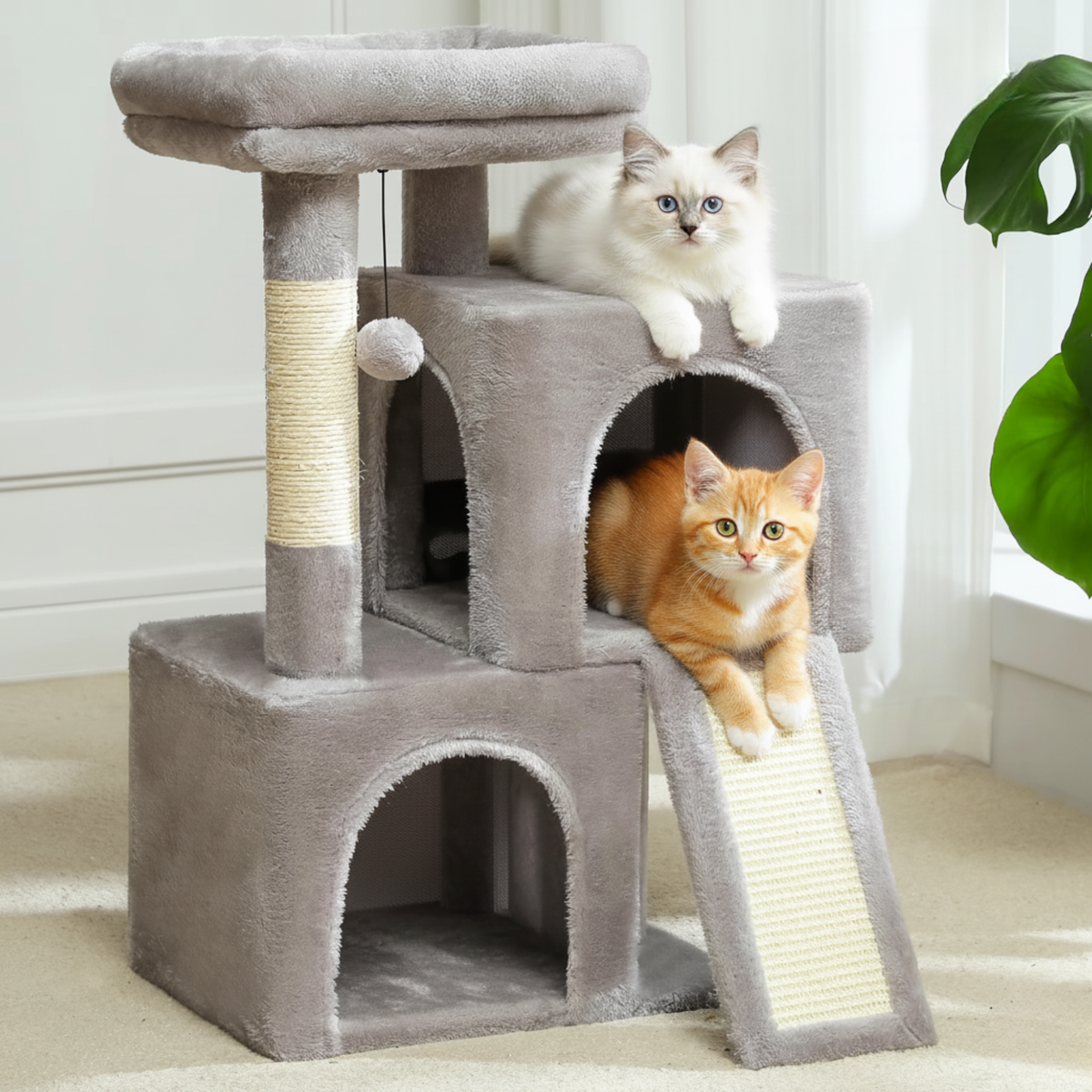 Arbre à chat  - le cosi