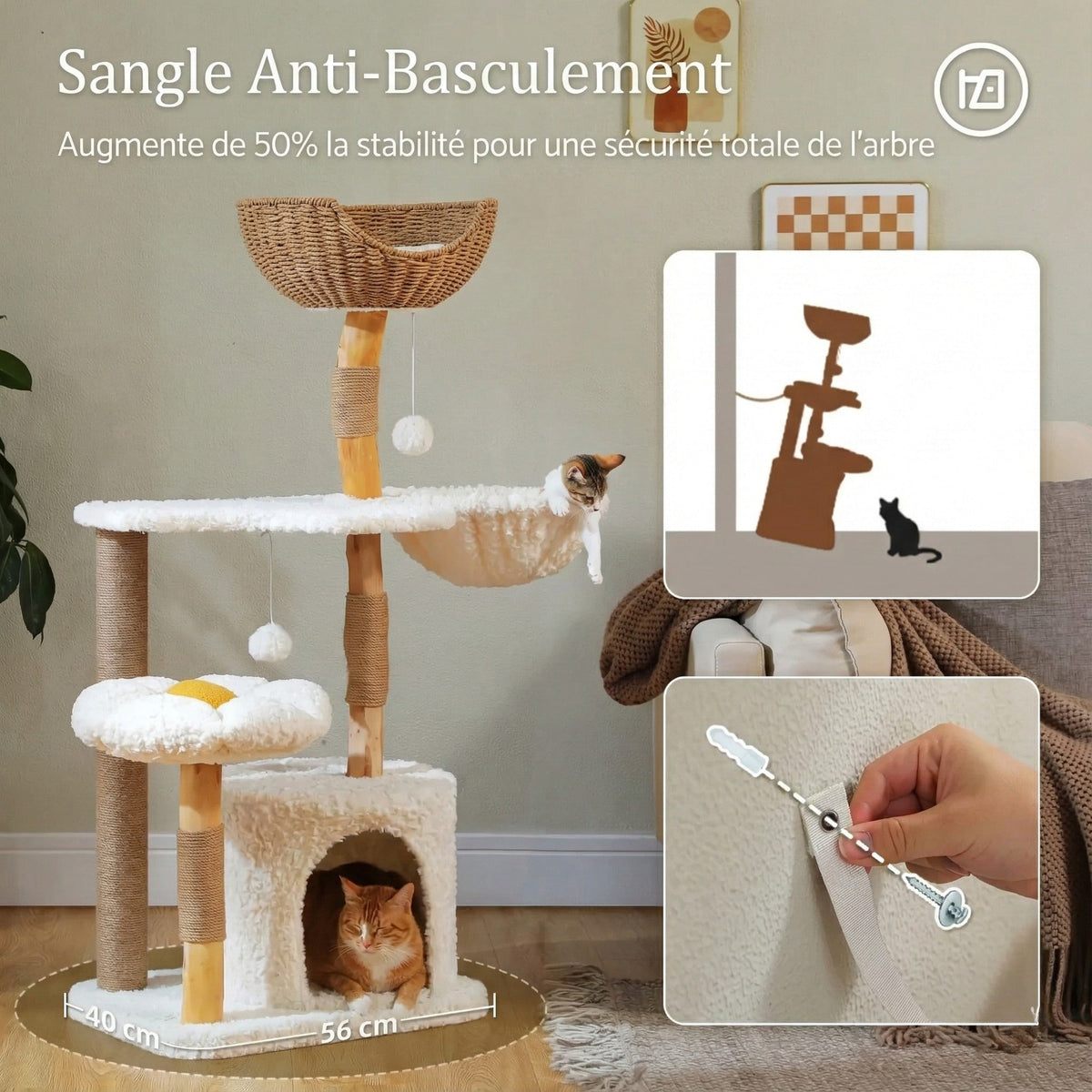 Arbre à chat - fleur & nid d'oiseau