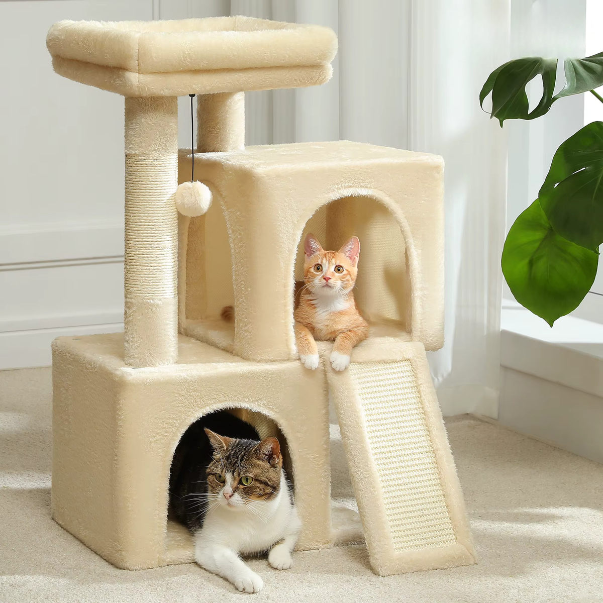 Arbre à chat  - le cosi