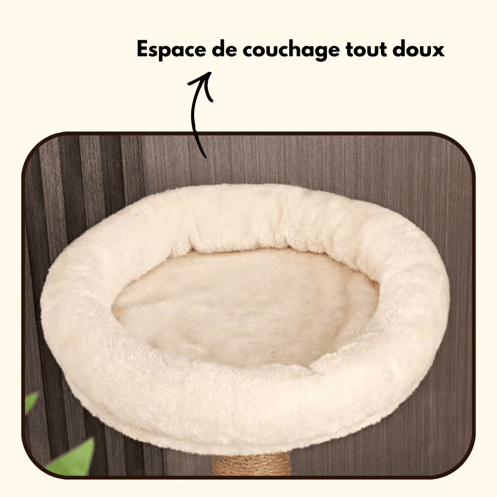 Arbre à chat en bois et jeux intégrés