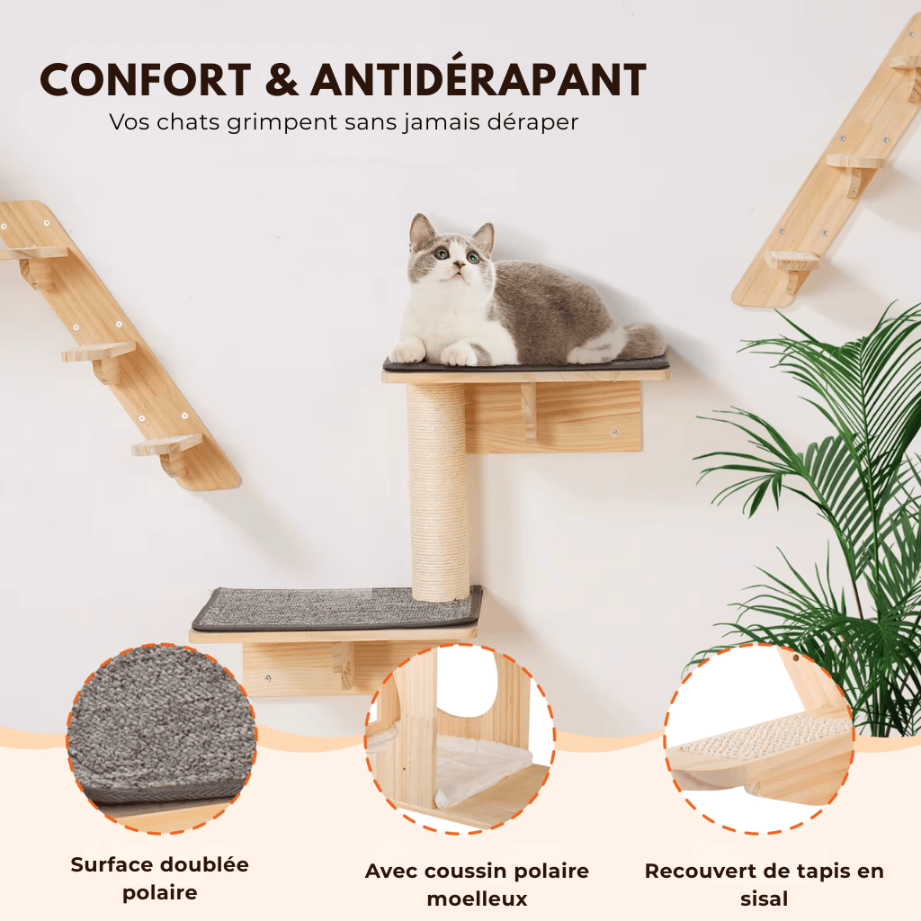 Arbre à chat en parcours