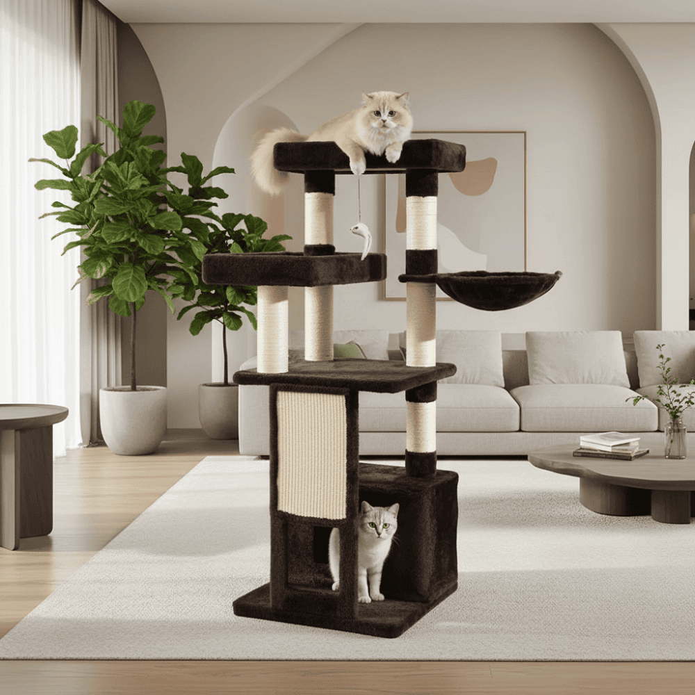 Arbre à chat avec griffoir