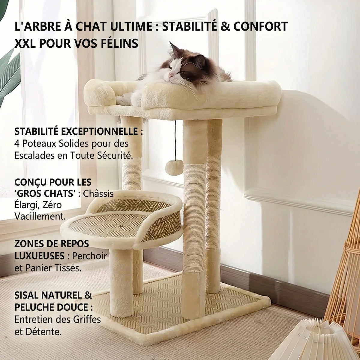 Arbre à chat - style fraicheur