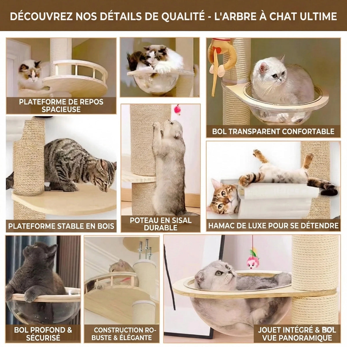 Arbre à chat - tour 5 étages