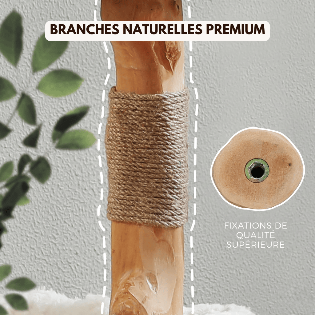 Arbre à chat en bois - nid d'oiseau