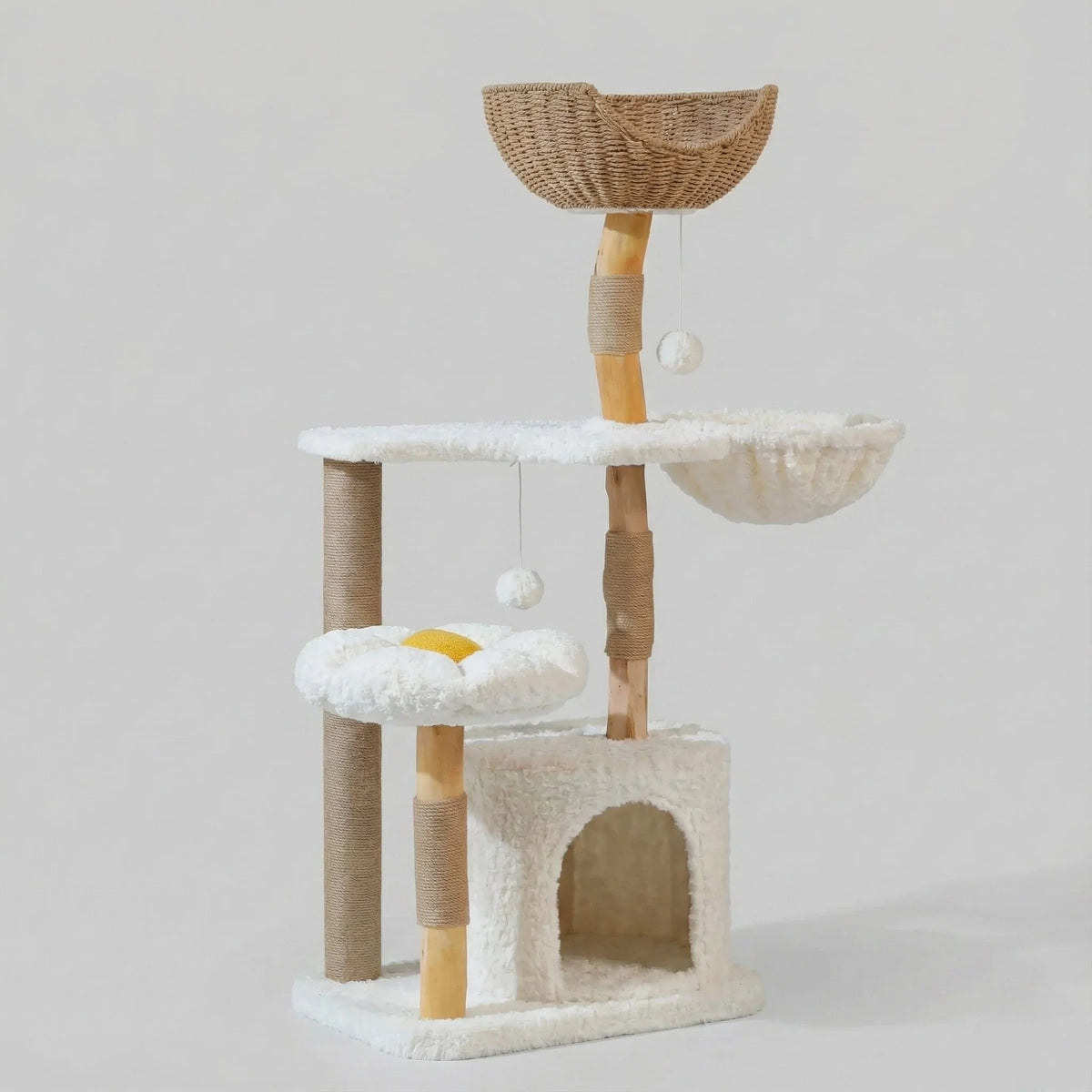 Arbre à chat - fleur & nid d'oiseau