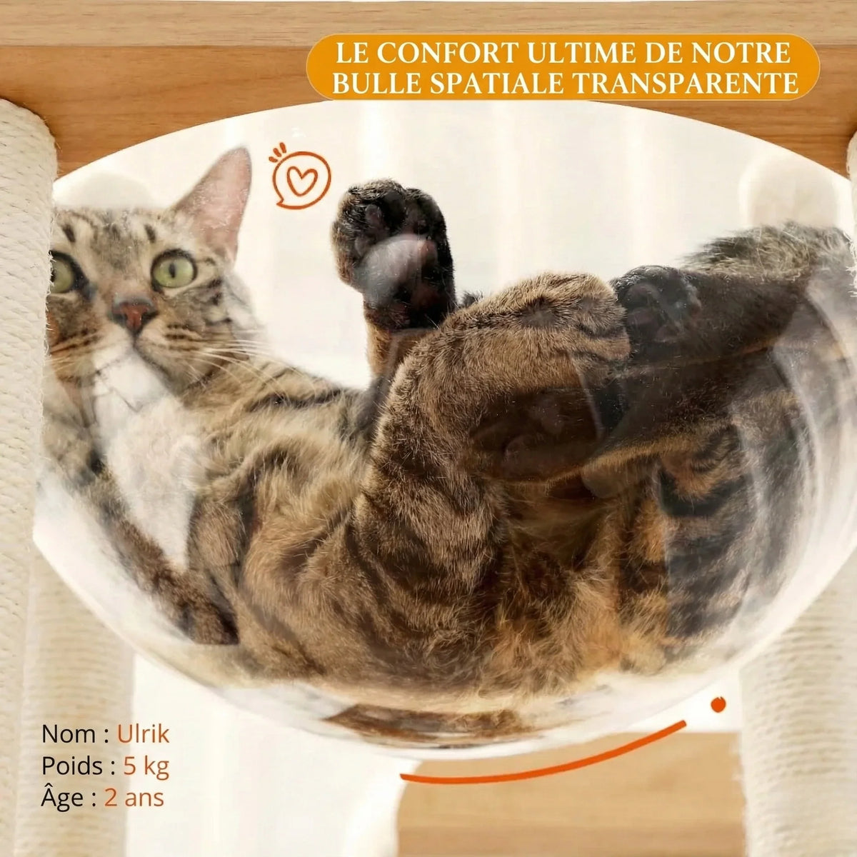 Arbre à chat - style forteresse