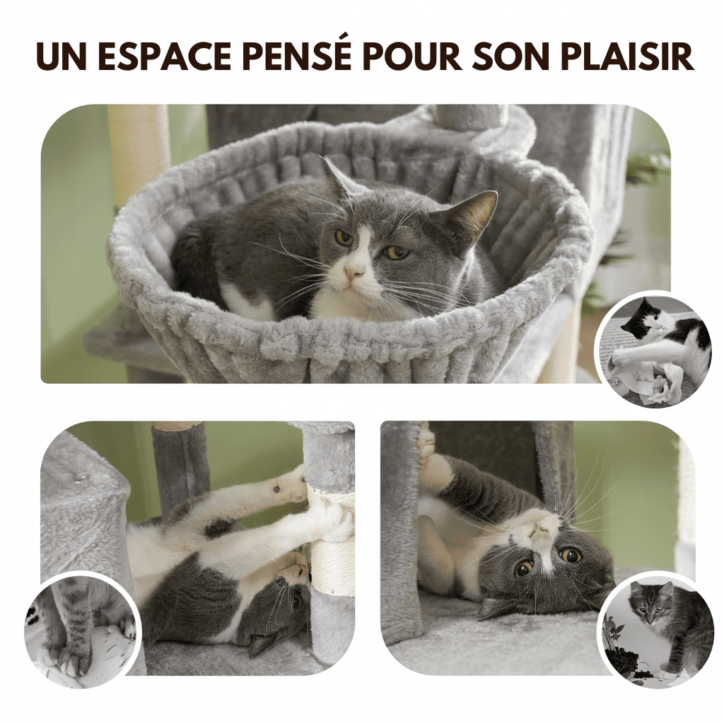 Arbre à chat XXL 4 paniers