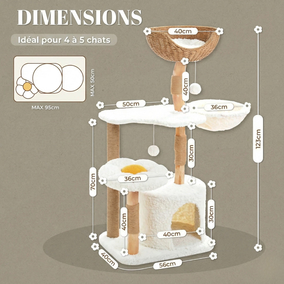 Arbre à chat - fleur & nid d'oiseau