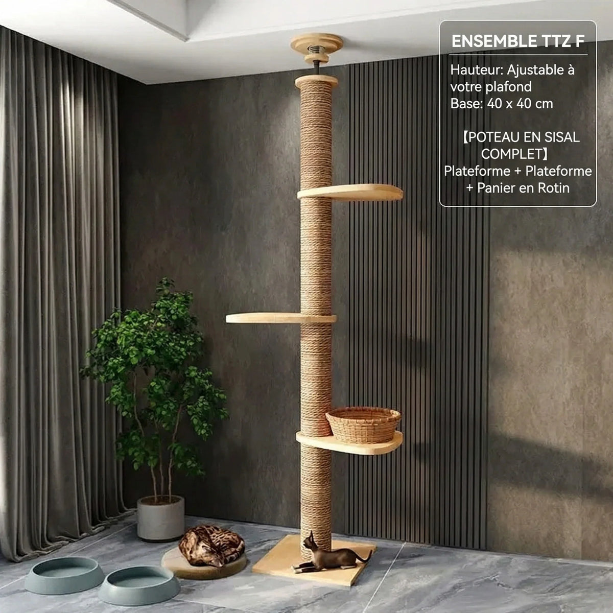 Arbre à chat - tour 5 étages