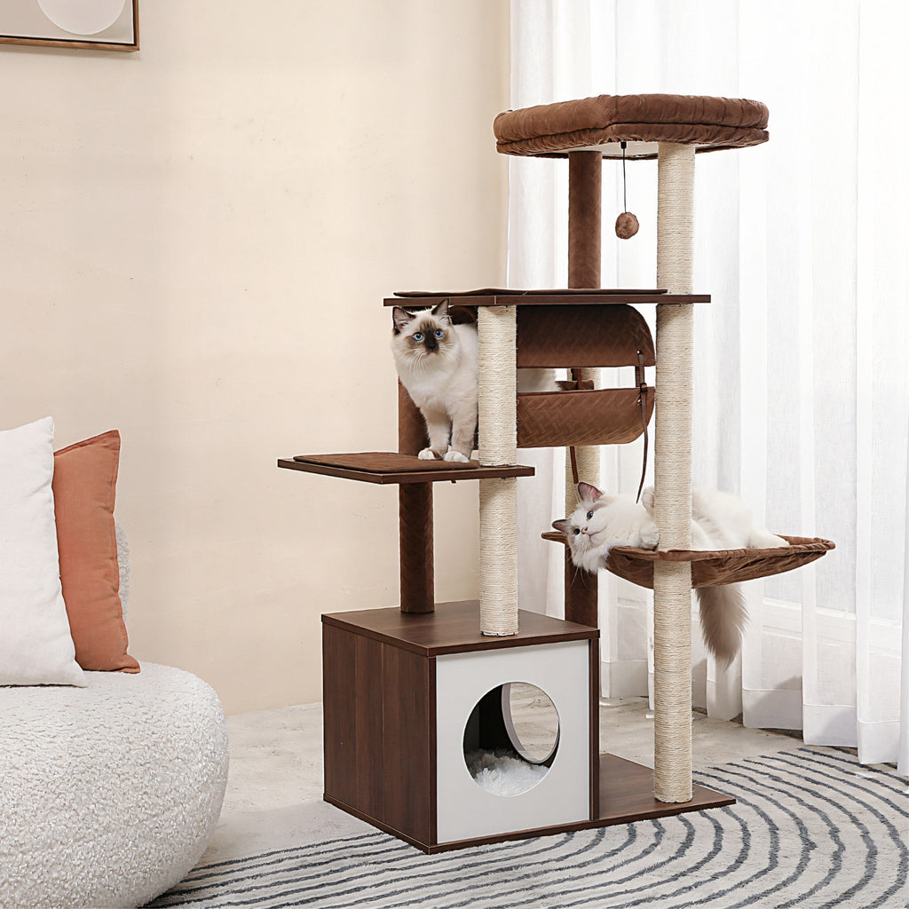 Arbre à chat en bois brun