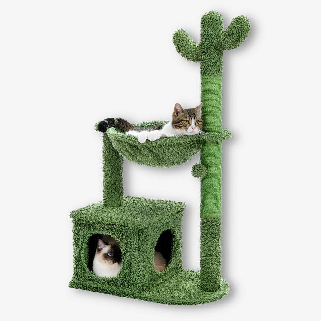 Arbre à chat pelucheux cactus vert