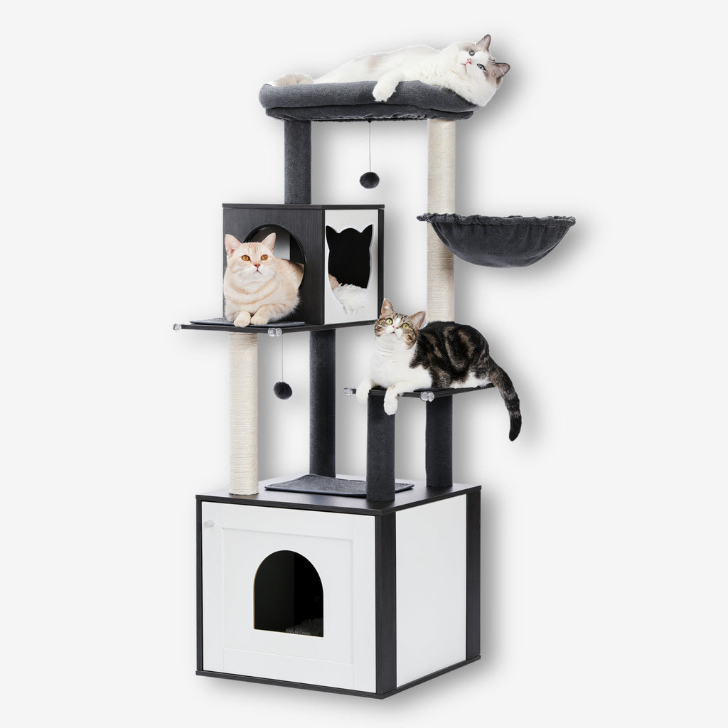 Arbre à chat en bois avec caisse