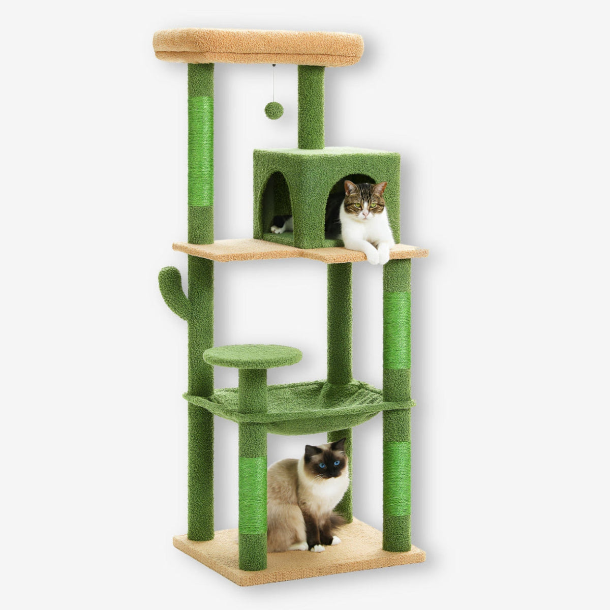 Arbre à chat cactus vert design