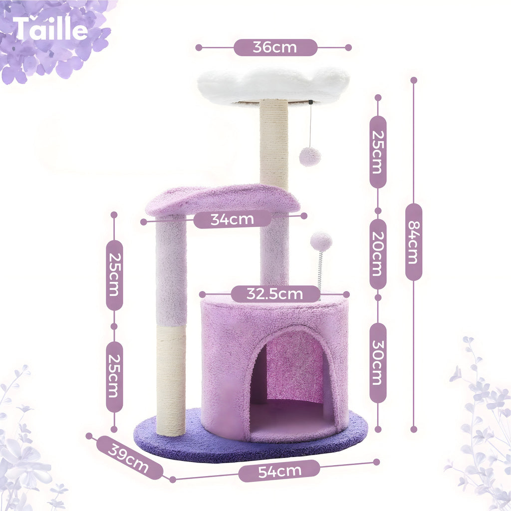 Arbre à chat violet fleur blanche