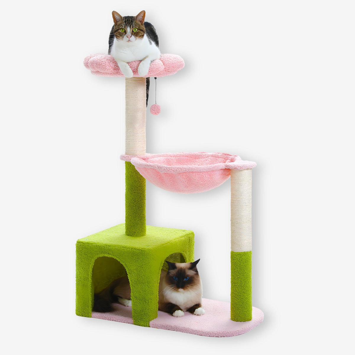 Arbre à chat vert fleur rose