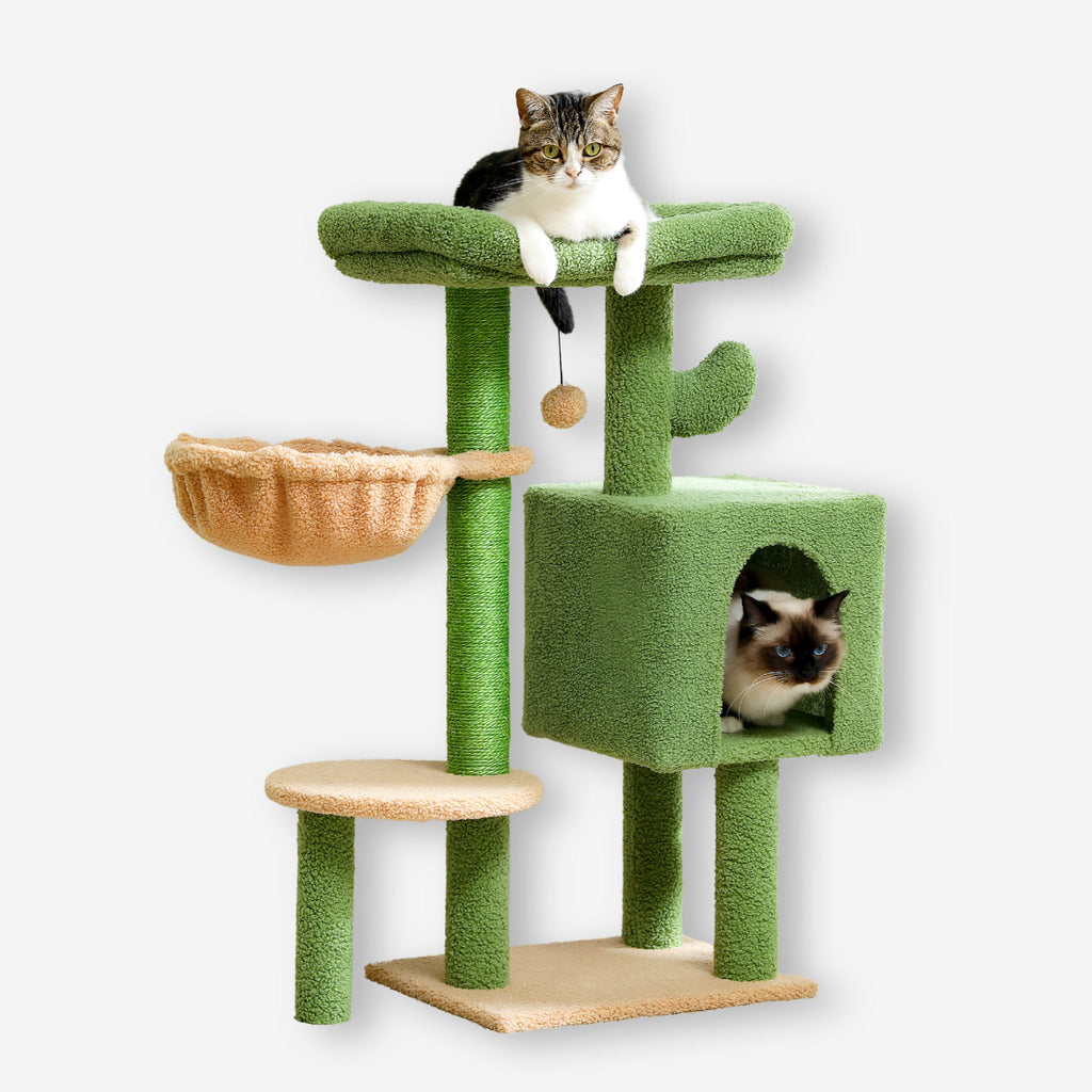 Arbre à chat vert original en forme de cactus