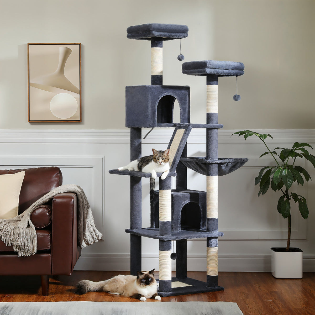 Arbre à chat xxl multiplateformes