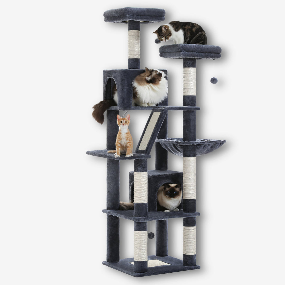 Arbre à chat xxl multiplateformes