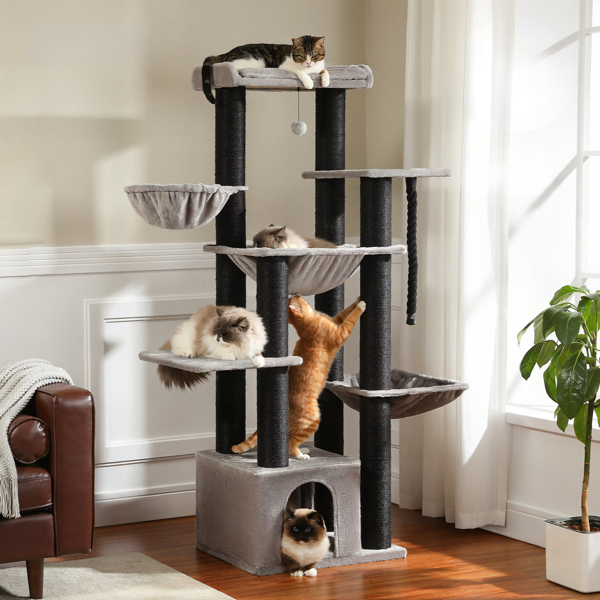 Arbre à chat maine coon xxl