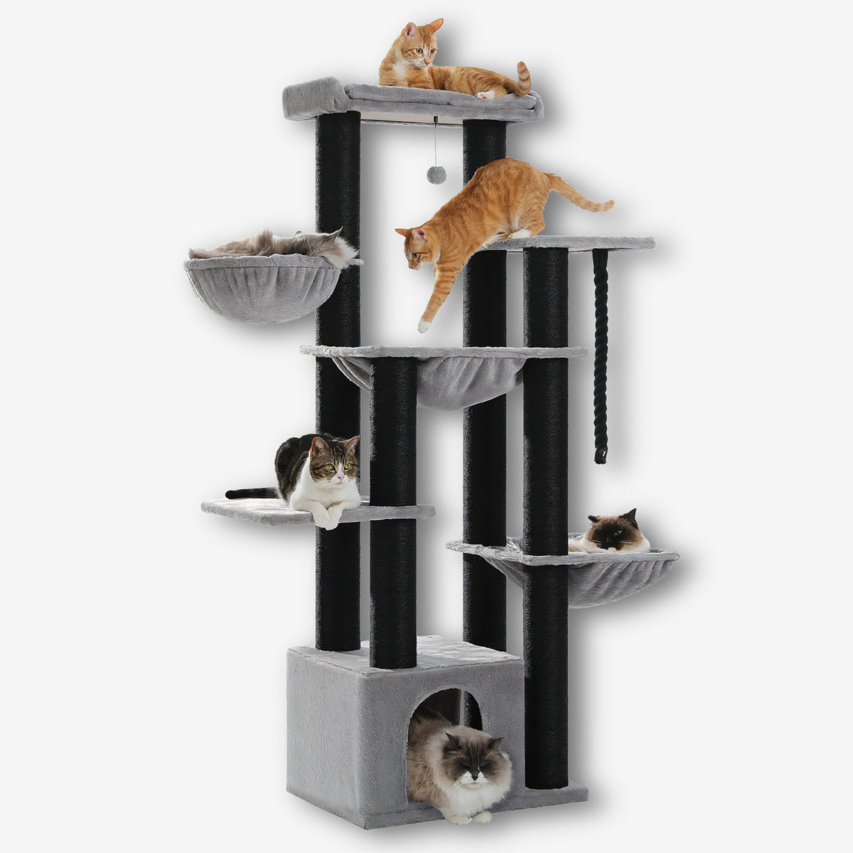 Arbre à chat maine coon xxl