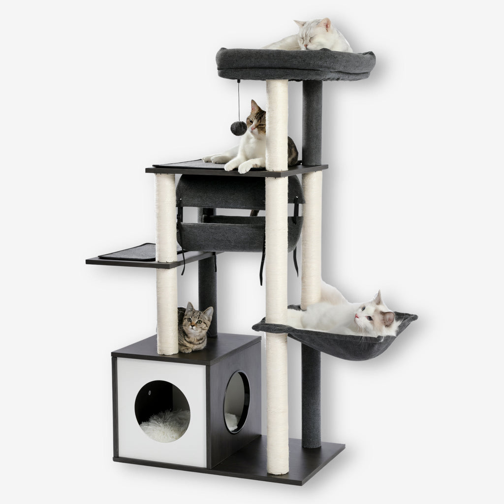 Arbre à chat design noir en bois