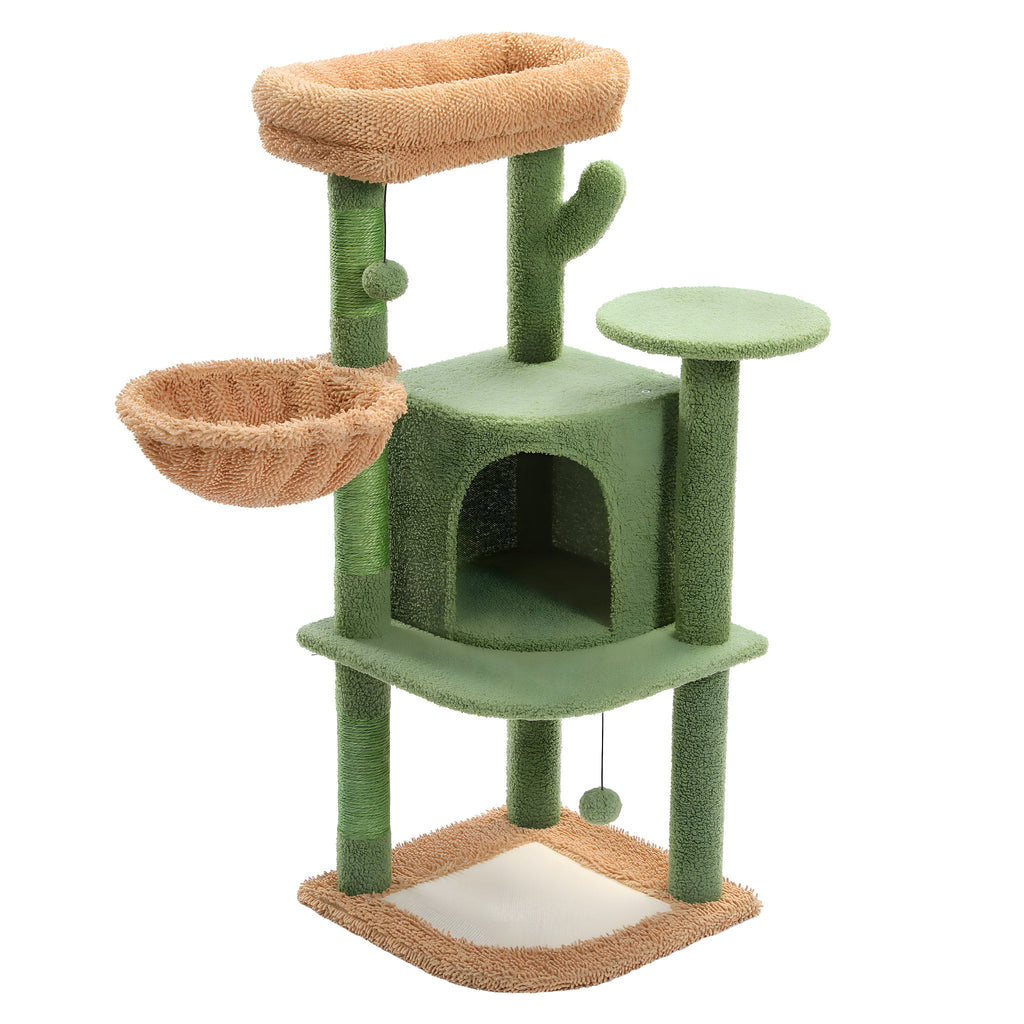 Arbre à chat vert avec forme de cactus