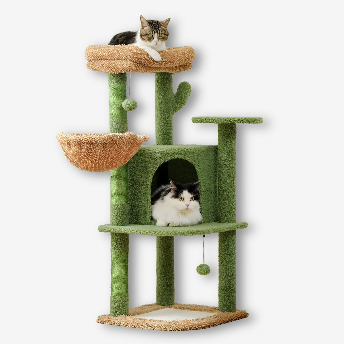 Arbre à chat vert avec forme de cactus