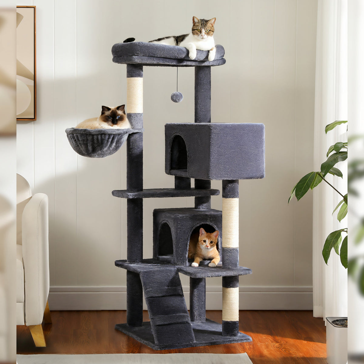 Arbre à chat grande taille pour chat adulte