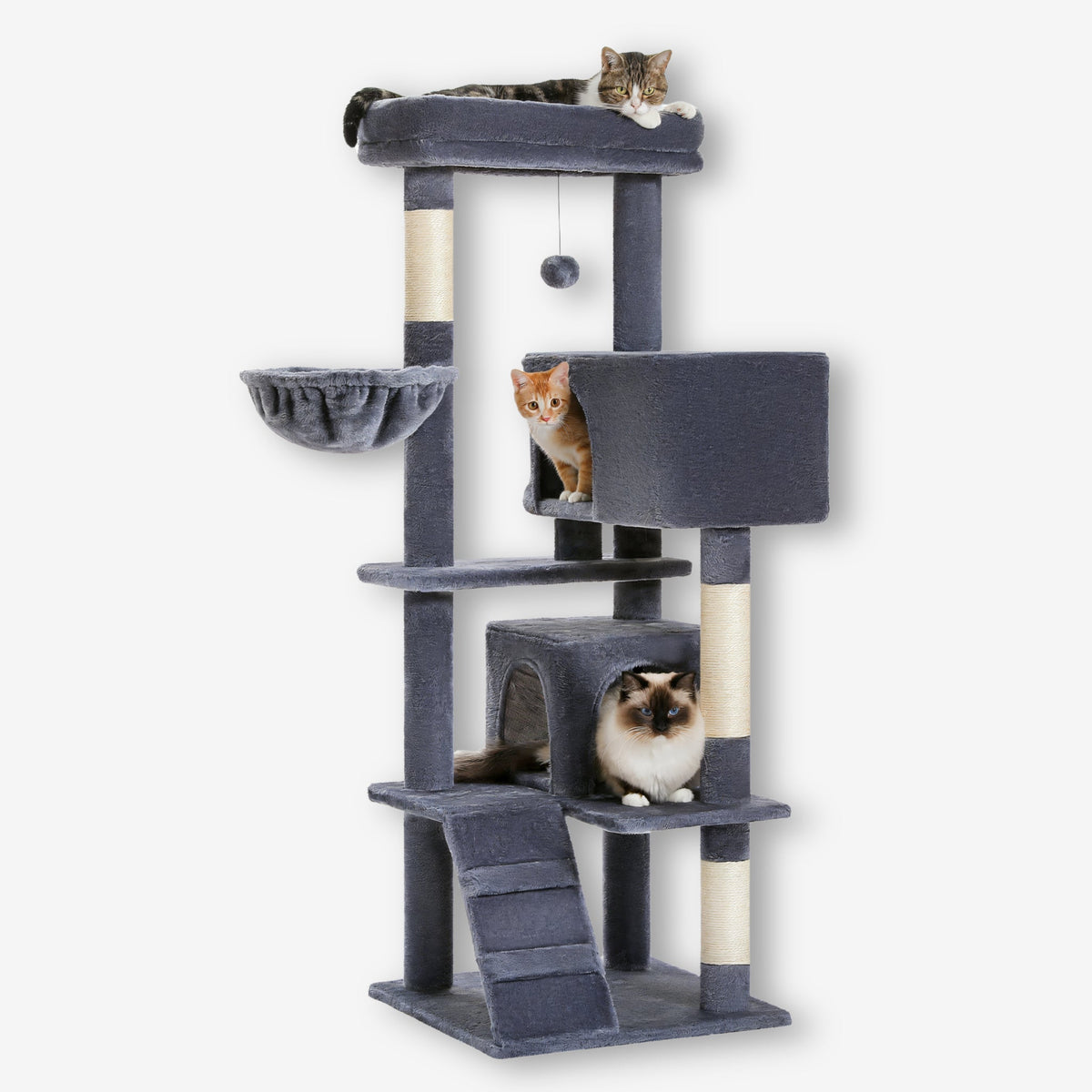 Arbre à chat grande taille pour chat adulte