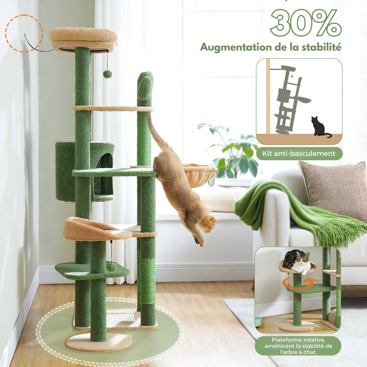 Arbre à chat vert cactus grande taille