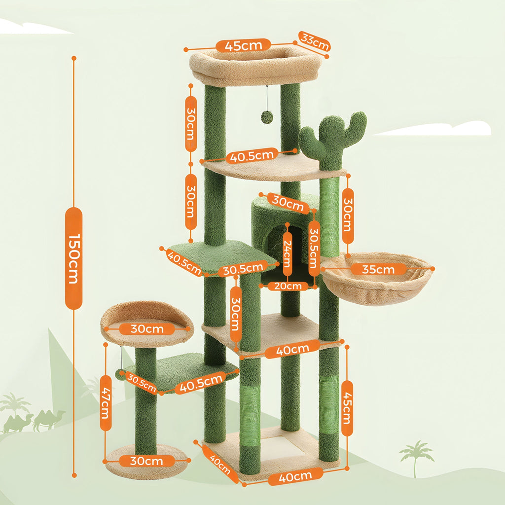 Arbre à chat vert cactus grande taille